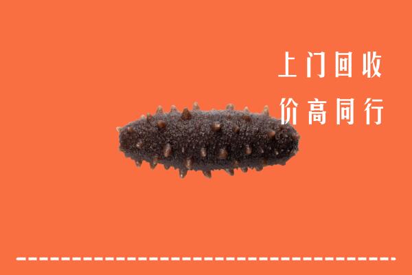 高价求购：光明区回收海参