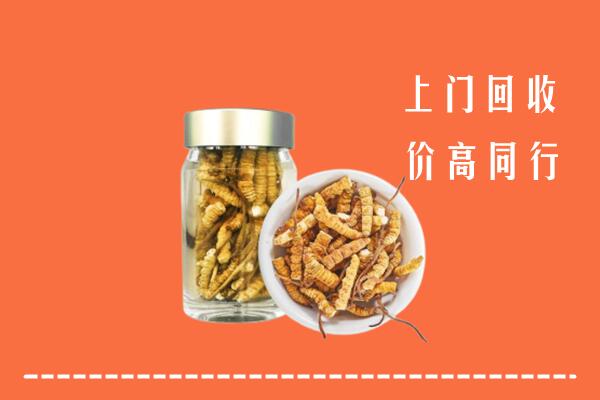 光明区回收冬虫夏草