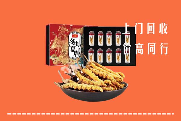 光明区回收虫草